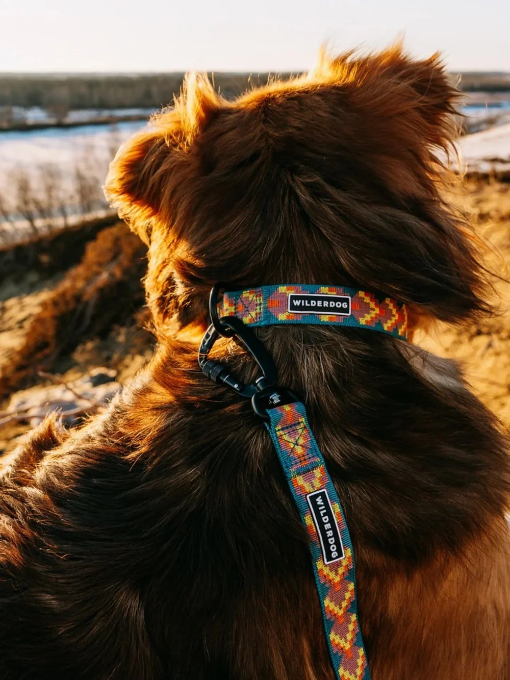 NWT Wilderdog Ultralight Dog Collar Size Large , 2 color options